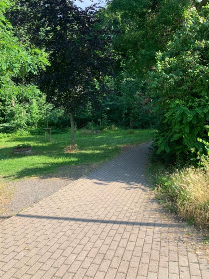 Parkhotel Schnorr Lutherstadt Eisleben Bagian luar foto